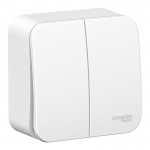 Выключатель Schneider Electric Blanca BLNVA105011 двухклавишный с изолирующей пластиной (белый)