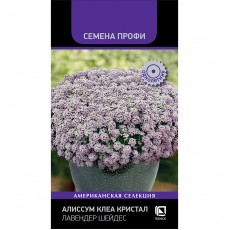 Алиссум Клеа Кристал Лавендер Шейдес (Семена Профи) (ЦВ) ("1) 20шт