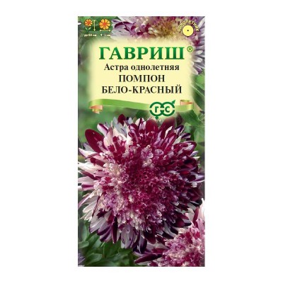 Астра Помпон бело-красный, однолетняя (помпонная) 0,1 г Н18